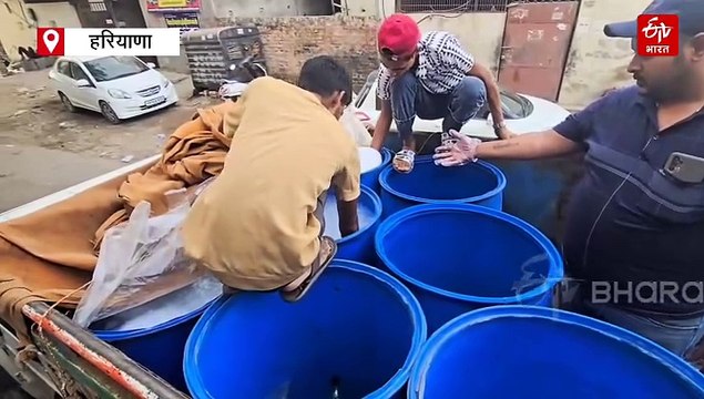 क्या गुरुग्राम में सप्लाई हो रहा जानलेवा नकली पनीर? फूड सेफ्टी विभाग ने मारा छापा, सैंपल जांच के लिए भेजे