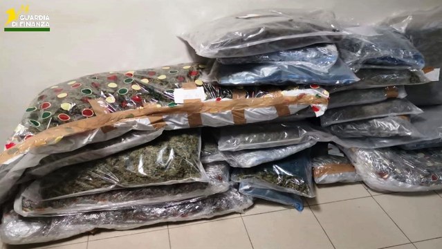 Traffico di droga, 12 arresti: smantellata rete legata al clan Parisi (28.05.25)