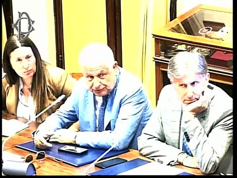 Roma - Indagine conoscitiva sicurezza nazionale e nuove sfide per la difesa - Audizione Generale B. Raffaele Covetti, Comandante Carabinieri per la tutela della salute (NAS) (28.05.25)