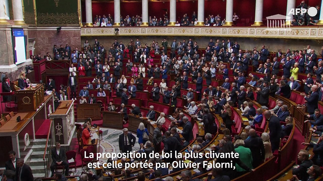 Fin de vie: ce qu'il faut savoir sur les deux textes votés à l'Assemblée