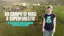 Da campo di mais a superforesta! Ti portiamo alla scoperta di Bosco Limite