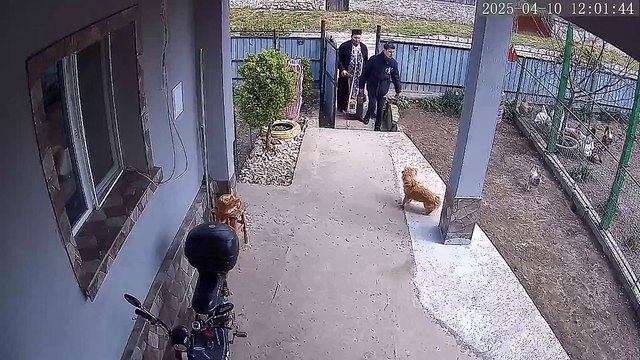 Asa ceva vezi o data in viata - preotul si cainele ahhahahaahhaha!