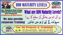 BIM Maturity Levels
