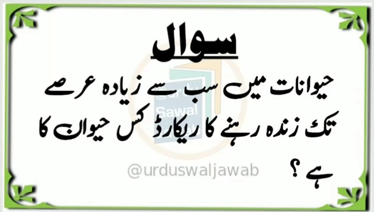 Islamic Urdu information. Gernal Knowledge Swaal Jawab in Urdu. Quiz times. Quiz Questions. Questions Answers. Sawal jawab short video. Paheliyan in urdu with answer question. Difficult Riddles #paheliyan #riddles#quiz #questionanswer #answerquestions #qu