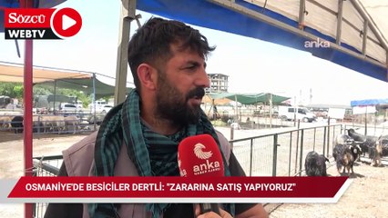 Osmaniye'de besiciler dertli: "Zararına satış yapıyoruz"
