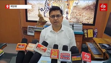 7 महीने में कान्हा के 5 टाइगर्स की मौत, इस बार बाघिन की मौत की वजह विचित्र