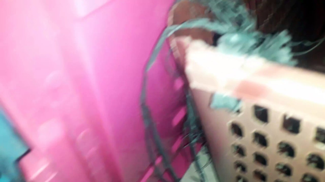 Gara Gara Ganggu Iseng Anak Kucing Gak Kenal VS Anak Kucing Happy • 28 Januari 2018 Pukul 18:28:28 WIB