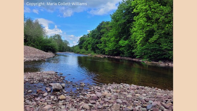 Picture This: The skies above