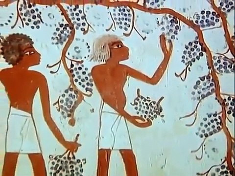 Egypt Beyond The Pyramids Episode 3 The Daily Life of Ancient Egyptians