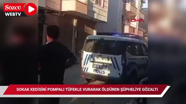 Sokak kedisini pompalı tüfekle vurarak öldüren şüpheliye gözaltı