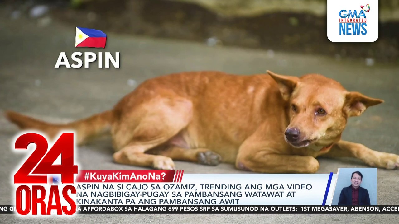 Aspin na si Cajo sa Ozamiz, trending ang mga video na nagbibigay-pugay sa pambansang watawat at kinakanta pa ang pambansang awit | 24 Oras