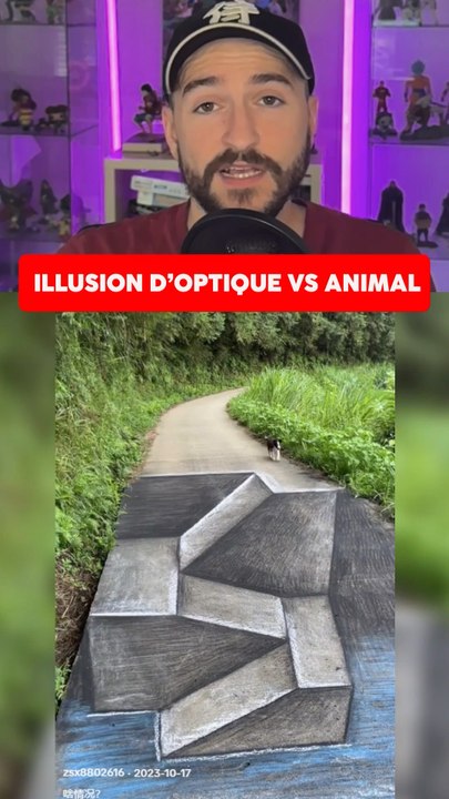 ILLUSION D’OPTIQUE VS ANIMAUX ?!