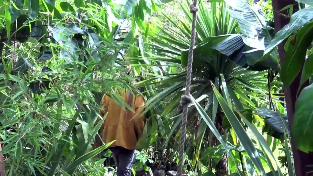 L’aventure est dans les jardins : Prix de la Création paysagère à "Jardins, jardin" 2025