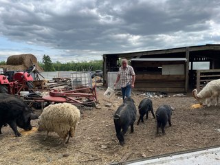 Des animaux orphelins