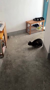 The Hunter Becomes The Hunted!