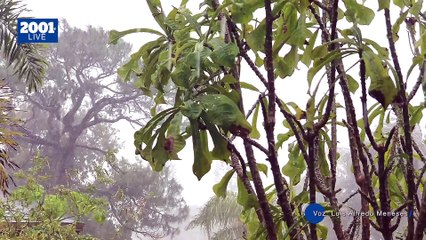 Onda Tropical N.° 2 se aproxima a Venezuela: Inameh pronostica lluvias