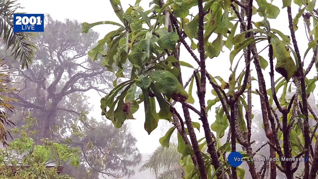 Onda Tropical N.° 2 se aproxima a Venezuela: Inameh pronostica lluvias