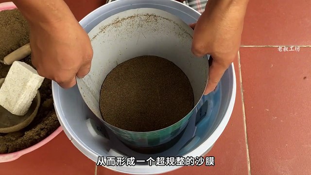 Eye-Catching DIY: Transform Foam Strips & Plastic Buckets into Stylish Concrete Planters for Free!