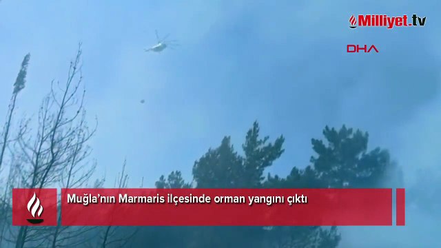 Muğla’nın Marmaris ilçesinde orman yangını