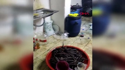 Görüntüler mide bulandırdı! Tuvaletle iç içe olan şalgam imalathanesi mühürlendi