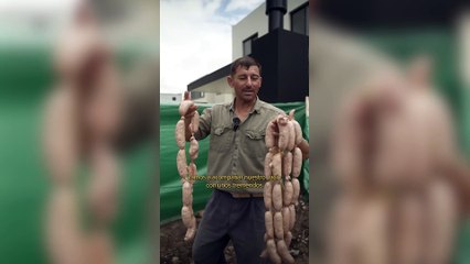 “Asado de obra”, por El Gourmet