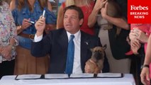 Florida Gov. Ron DeSantis Signs New Law To Crack Down On Abuse Of Dogs