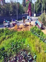 Amazing Bulldozing! D20 Covers Flooded Ground with Precision