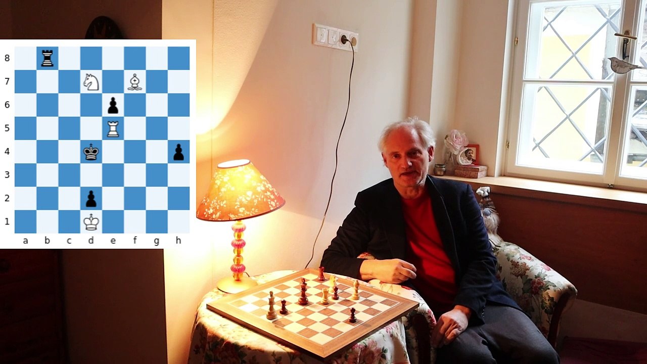 A logical chess study –Study by Mario Guido García & Peter Krug