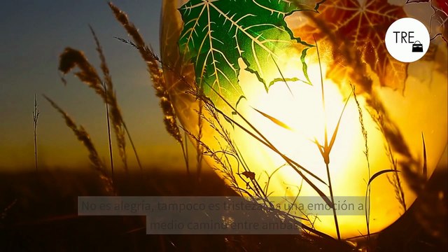 Existe una nostalgia buena y una nostalgia mala: una de ellas podría destruir tu salud mental, la otra es una señal excelente