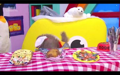 Piripenguins - Detective Pancake Investigates