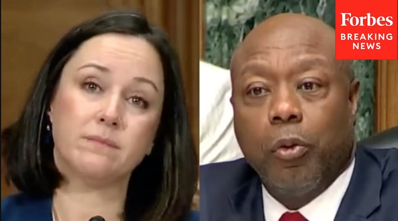 Tim Scott Asks Witness About Expediting Permitting Process For Critical Mineral Mining Operations