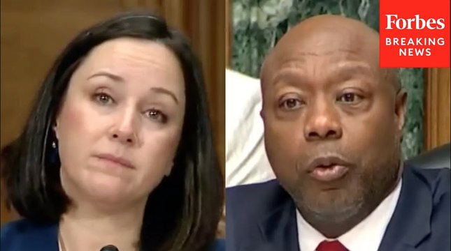 Tim Scott Asks Witness About Expediting Permitting Process For Critical Mineral Mining Operations