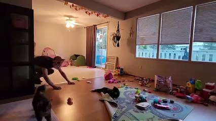 Funny funniest farm animals 😂 😂 video