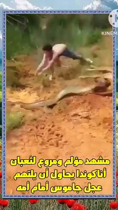 1000092049