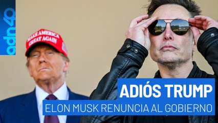 Elon Musk renuncia a su cargo en el gobierno de Trump