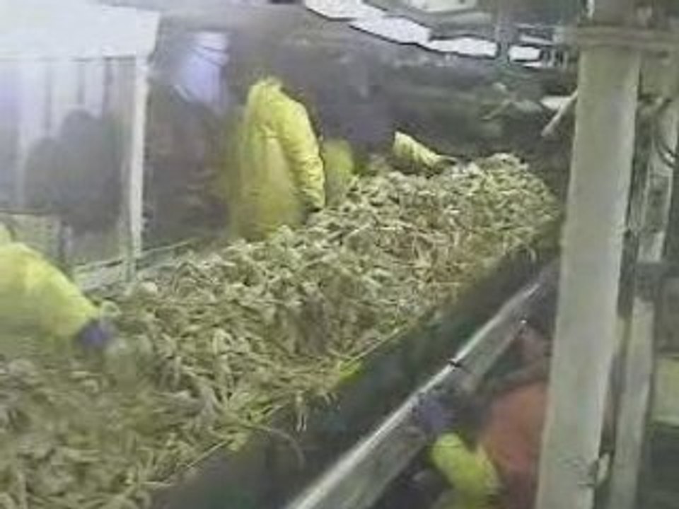 trabajando en Alaska pt2