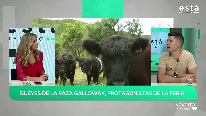 Feria de Ganado de Pasto y Km O en Legarda