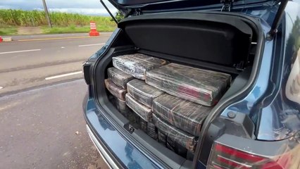 PRE apreende 261 kg de maconha na PR-323, em Cafezal do Sul