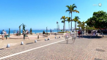 Puerto Vallarta impulsa turismo inteligente con modelo de datos propuesto por regidora Melissa Madero