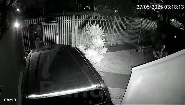 Câmeras flagram furto de bicicleta em casa de São José dos Pinhais