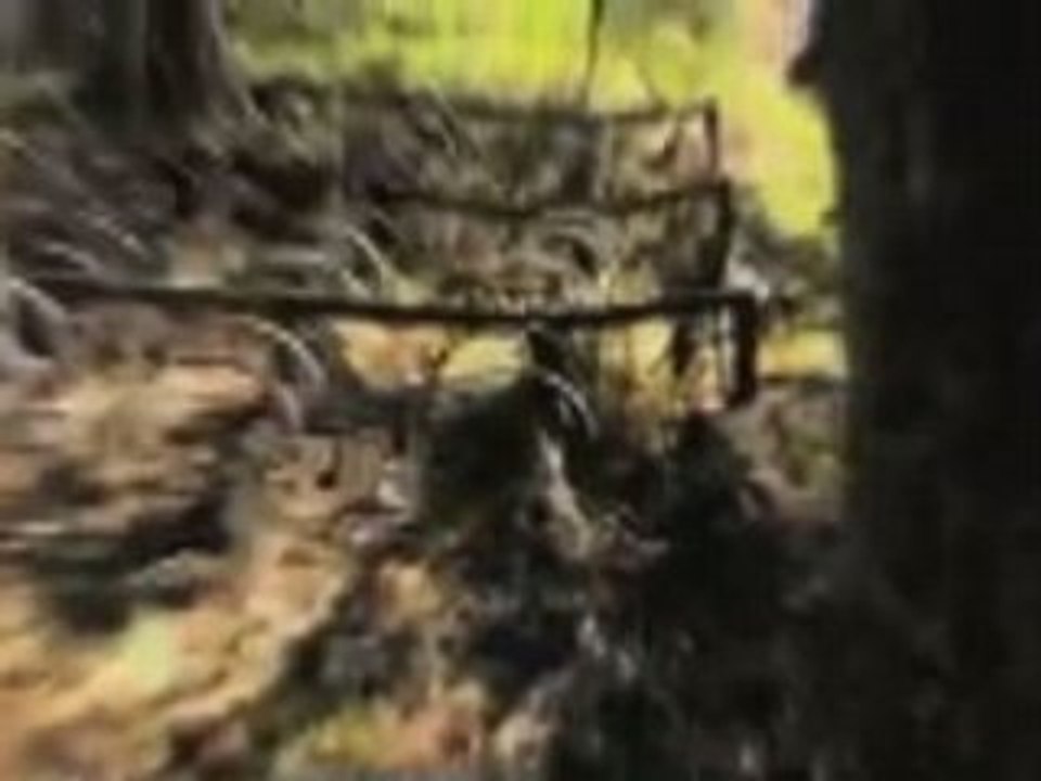 Teaser Slipknot 2008