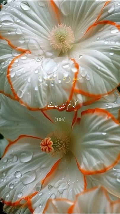 Quran eyat Mubarak