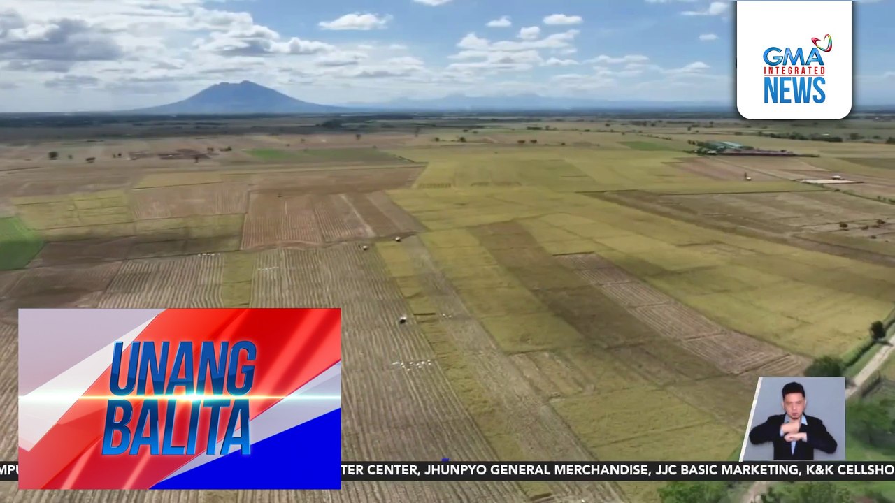 Pagtatakda ng floor price sa palay, pinag-aaralan para hindi malugi ang mga magsasaka | Unang Balita