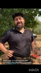 Michele monopoli il tesoro che abbiamo in puglia