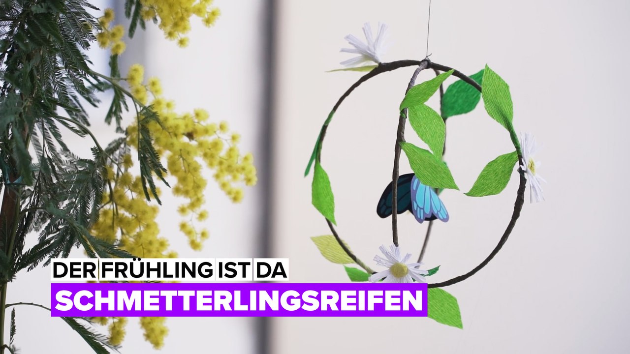 Der Frühling ist da: Schmetterlingsreifen