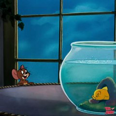 Part 55 Tom and Jerry #tomandjerry #tuffy #cartoon