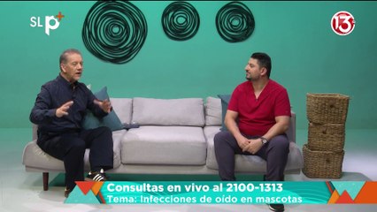 ENTREVISTA 28 MAYO INFECCIONES DE OIDO EN MASCOTAS_VETERINARIO