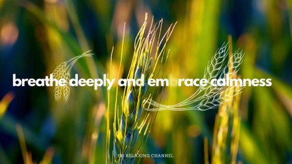 🌿 Peaceful & Healing Music - Light Piano Music & Gentle Nature Ambience for Reflection 🌿