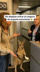 The poor guy holding the ticket and waiting to be allowed to pass