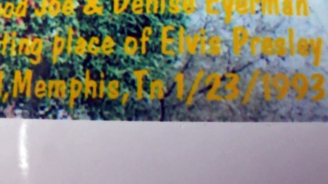 Memphis memories -Joe Nania 8-1976+1-1993